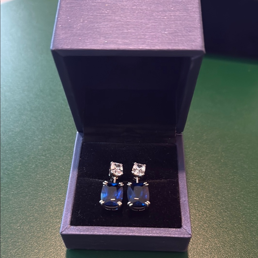 Elegant Blue and Silver Earrings